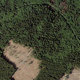 Satellite imagery of Hundeschütt, DE