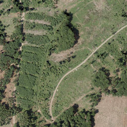 Satellite imagery of Schlößchen, DE