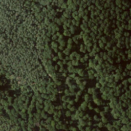 Satellite imagery of Landauer Berg, DE