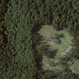 Satellite imagery of Landauer Berg, DE