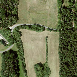 Satellite imagery of Witzgenstein, DE