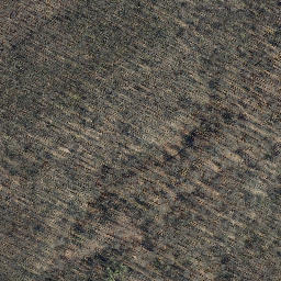 Satellite imagery of Röhrigsberg, DE