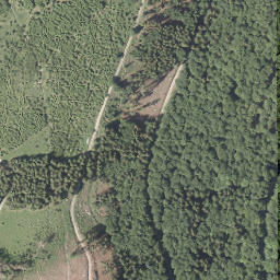 Satellite imagery of Ginsterkopf, DE