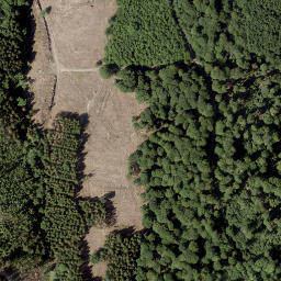 Satellite imagery of Fohre, DE