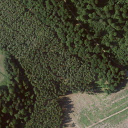 Satellite imagery of Landauer Berg, DE