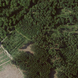 Satellite imagery of Landauer Berg, DE
