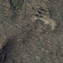 Satellite imagery of Röhrigsberg, DE
