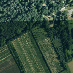 Satellite imagery of Schloß Heltorf, DE