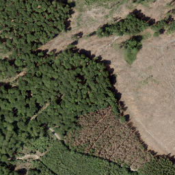 Satellite imagery of Kreuzhabuche, DE