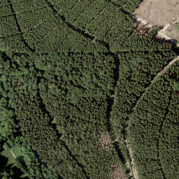 Satellite imagery of Hundeschütt, DE
