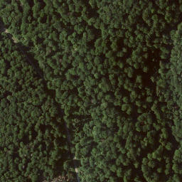 Satellite imagery of Landauer Berg, DE