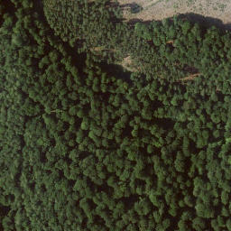Satellite imagery of Landauer Berg, DE