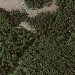 Satellite imagery of Landauer Berg, DE