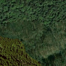 Satellite imagery of Hühnerberg, DE