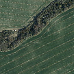 Satellite imagery of Stadtberg, DE