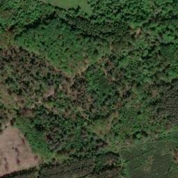 Satellite imagery of Domberg, DE