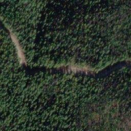 Satellite imagery of Saskum Mountain, CA