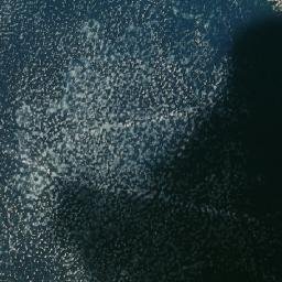 Satellite imagery of Biddle Pass, CA