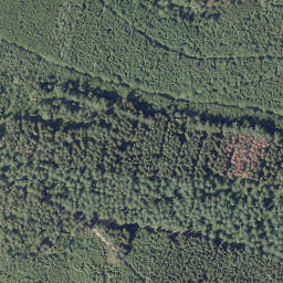 Satellite imagery of Vogelsang, DE