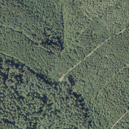 Satellite imagery of Vogelsang, DE