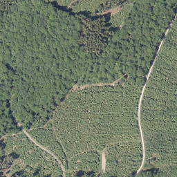 Satellite imagery of Schelten-Berg, DE