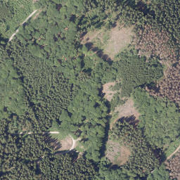 Satellite imagery of Schmalenberg, DE