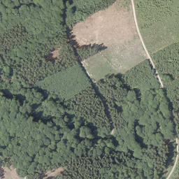 Satellite imagery of Ginsterkopf, DE