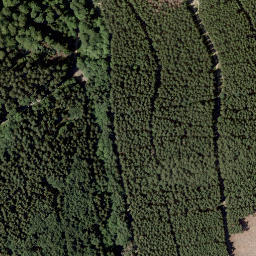 Satellite imagery of boundary_stone, DE