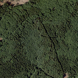 Satellite imagery of boundary_stone, DE
