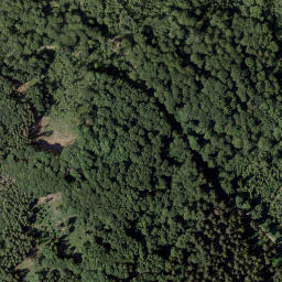 Satellite imagery of Dommel, DE