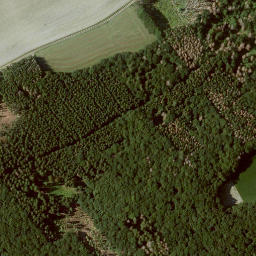 Satellite imagery of Immesberg, DE