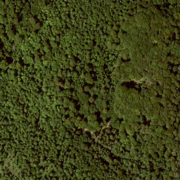 Satellite imagery of Hühnerberg, DE
