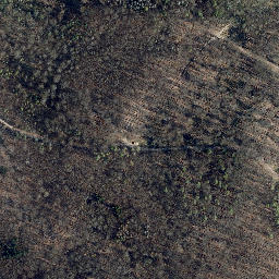 Satellite imagery of Junkerkuppe, DE