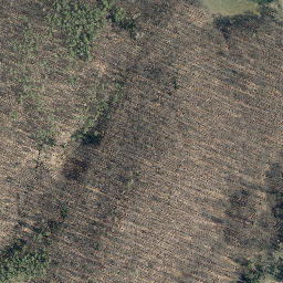 Satellite imagery of Knappberg, DE