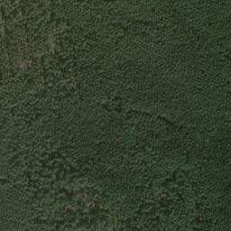 Satellite imagery of Rosenberg, DE