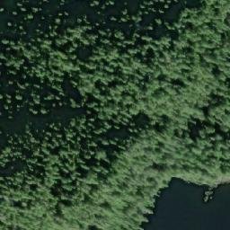 Satellite imagery of Mills Point, CA