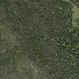 Satellite imagery of Mount Tom, CA