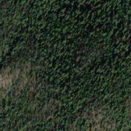 Satellite imagery of Saskum Mountain, CA