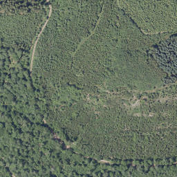 Satellite imagery of Vogelsang, DE