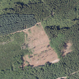 Satellite imagery of Vogelsang, DE