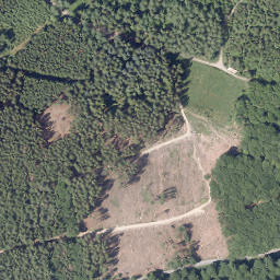 Satellite imagery of Vogelsang, DE