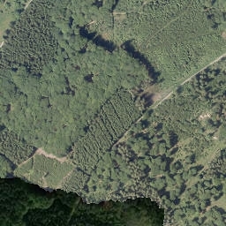 Satellite imagery of Schmalenberg, DE