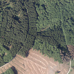 Satellite imagery of Schmalenberg, DE
