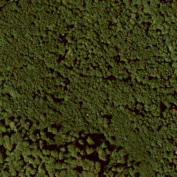 Satellite imagery of Hühnerberg, DE