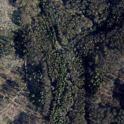 Satellite imagery of Junkerkuppe, DE