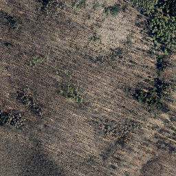 Satellite imagery of Junkerkuppe, DE