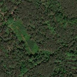 Satellite imagery of Domberg, DE