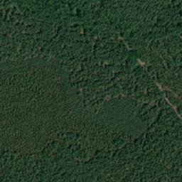 Satellite imagery of Kamionki, PL