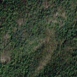 Satellite imagery of Saskum Mountain, CA