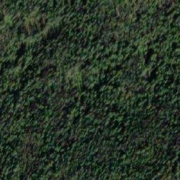 Satellite imagery of Saskum Mountain, CA